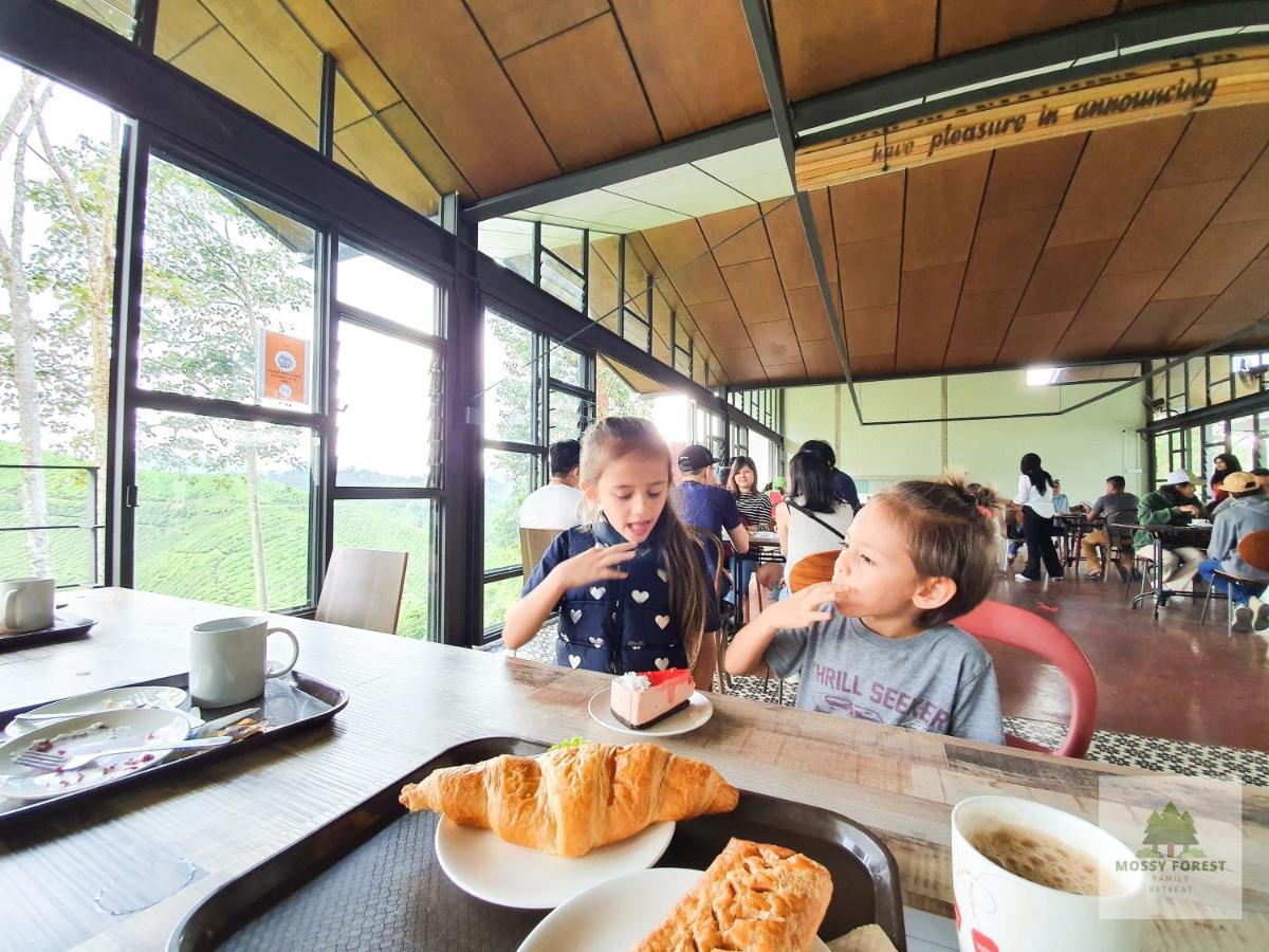 Mossy Forest Family Retreat, Kea Farm Brinchang Διαμέρισμα Εξωτερικό φωτογραφία