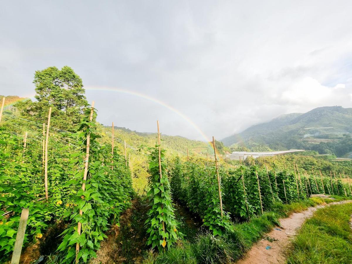 Mossy Forest Family Retreat, Kea Farm Brinchang Διαμέρισμα Εξωτερικό φωτογραφία